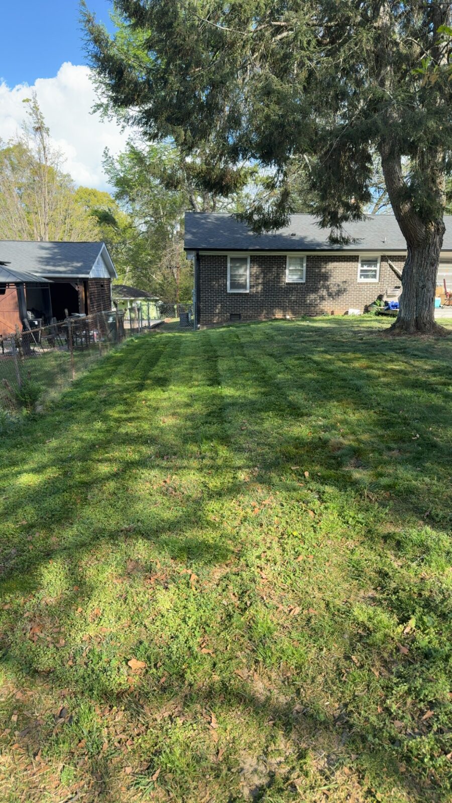 Fresh mow — backyard