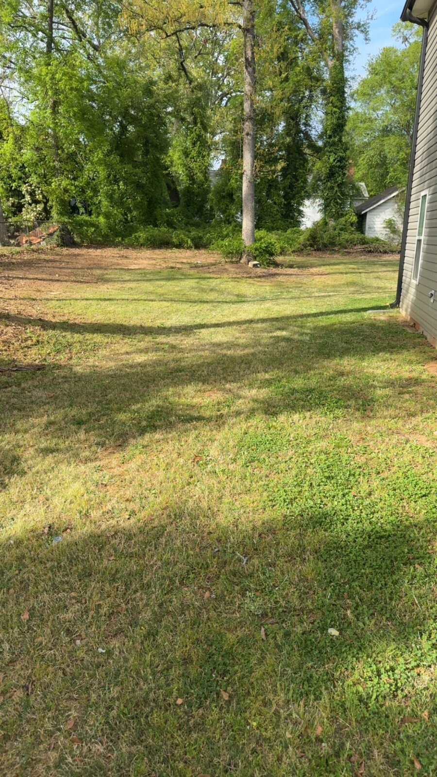 Yard cleanout