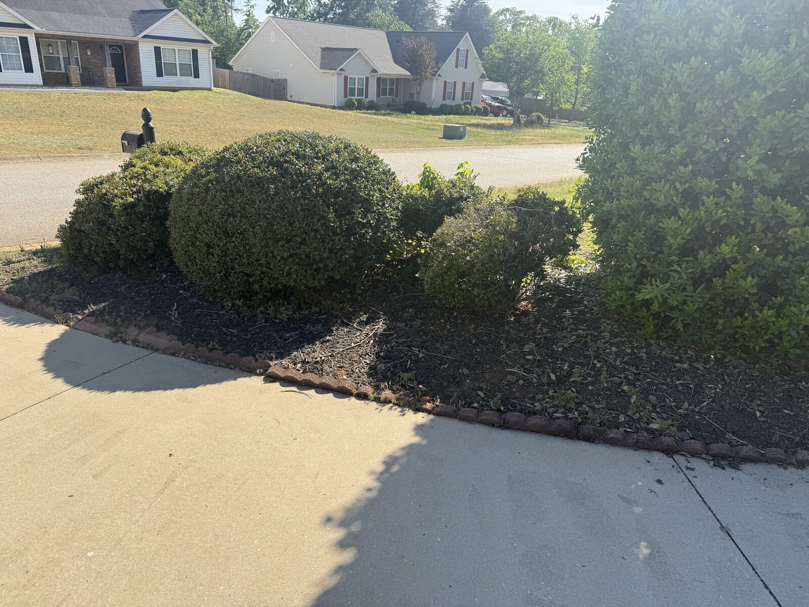 Hedge trim & mulch refresh